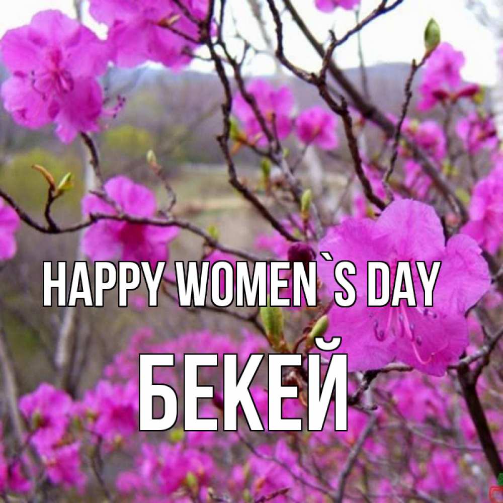 Greetings card с именем, Бекей happy women`s day международный женский день Greetings with text for free download 
